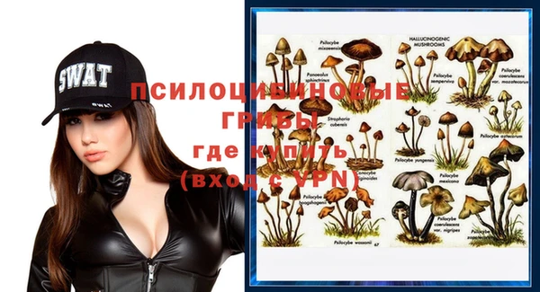 молекула духа Лиски
